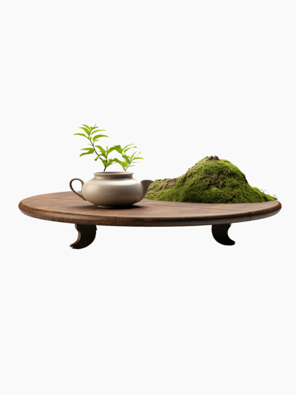 Round Elegance Center Table